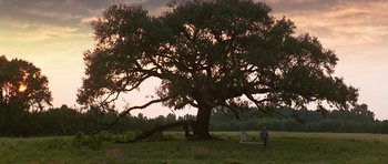 Movie still from “Forrest Gump” (1994), directed by Robert Zemeckis – Extreme Wide shot, Low angle