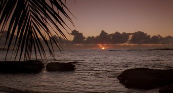 Movie still from “Muriel's Wedding” (1994), directed by P.J. Hogan – The sun is setting over the ocean with palm trees in the foreground; Extreme Wide shot, High angle