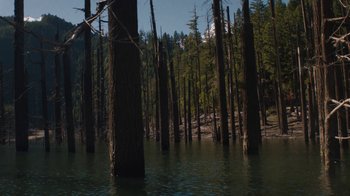 Movie still from “Night Moves” (2013), directed by Kelly Reichardt – A group of trees that are standing in the water; Extreme Wide shot, High angle
