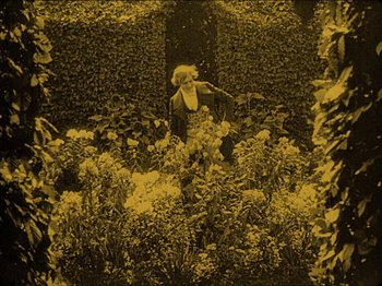Movie still from “Nosferatu” (1922), directed by F.W. Murnau – An old photograph of a woman in a garden; Wide shot, High angle