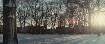 Movie still from “Obvious Child” (2014), directed by Gillian Robespierre – The sun is shining through the trees on a snowy day; Extreme Wide shot, Low angle