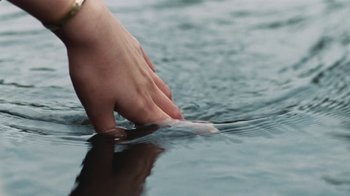 Movie still from “On Chesil Beach” (2017), directed by Dominic Cooke – A hand touching a fish in a body of water; Extreme Close Up shot, High angle