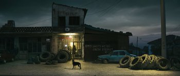 Movie still from “Once Upon a Time in Anatolia” (2011), directed by Nuri Bilge Ceylan – A dog standing in front of an old building; Extreme Wide shot, Low angle