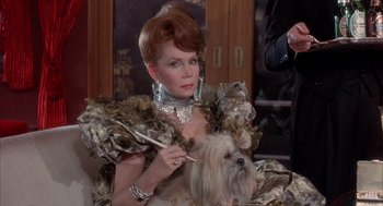 Movie still from “Overboard” (1987), directed by Garry Marshall – A woman with a dog sitting next to her; Medium shot, Over the shoulder angle