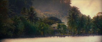 A large body of water surrounded by palm trees