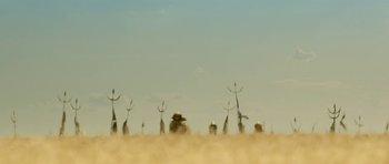 Movie still from “Padmaavat” (2018), directed by Sanjay Leela Bhansali – A group of people standing in the middle of a field; Extreme Wide shot, Low angle