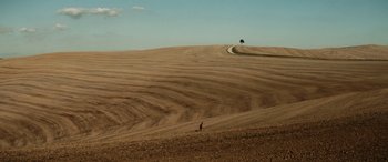 Movie still from “Pinocchio” (2019), directed by Matteo Garrone – A person standing in a field near a tree; Extreme Wide shot, High angle