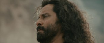 A person with long hair and a beard