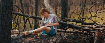 Movie still from “Prince Avalanche” (2013), directed by David Gordon Green – A man sitting on top of a tree in the woods; Medium shot, High angle