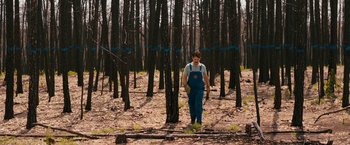 Movie still from “Prince Avalanche” (2013), directed by David Gordon Green – A man in overalls standing in the woods; Wide shot, High angle