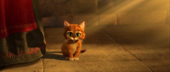 Movie still from “Puss in Boots” (2011), directed by Chris Miller – An orange and white cat sitting on the ground; Close Up shot, High angle