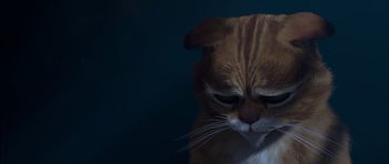 Movie still from “Puss in Boots” (2011), directed by Chris Miller – An orange and white cat is sitting on the ground; Close Up shot, High angle