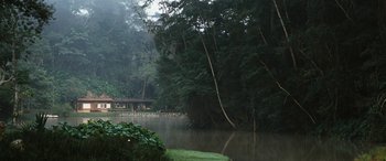 Movie still from “Reaching for the Moon” (2013), directed by Bruno Barreto – A body of water surrounded by trees and bushes; Extreme Wide shot, High angle