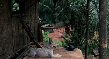 Movie still from “Rescue Dawn” (2006), directed by Werner Herzog – A dog laying on the ground in the middle of a yard; Wide shot, High angle