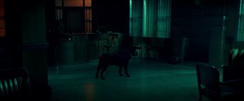 Movie still from “Scary Stories to Tell in the Dark” (2019), directed by André Øvredal – A dog standing in a dark room next to chairs; Wide shot, Low angle