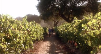 Movie still from “Sideways” (2004), directed by Alexander Payne – Two people walking down a dirt path in a vineyard; Extreme Wide shot, High angle