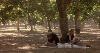 Movie still from “Sideways” (2004), directed by Alexander Payne – A man and a woman sitting under a tree; Wide shot, High angle