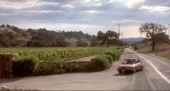 Movie still from “Sideways” (2004), directed by Alexander Payne – A car is driving down the road near a vineyard; Extreme Wide shot, High angle