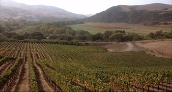 Movie still from “Sideways” (2004), directed by Alexander Payne – A vineyard in the middle of a valley with mountains in the background; Extreme Wide shot, High angle