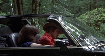Movie still from “Smokey and the Bandit” (1977), directed by Hal Needham – A man and woman sitting in the back seat of a car; Wide shot, High angle