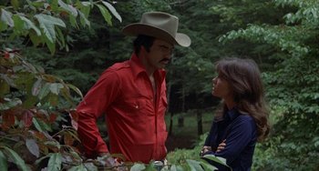 Movie still from “Smokey and the Bandit” (1977), directed by Hal Needham – A man and a woman in the woods talking to each other; Medium shot, Over the shoulder angle