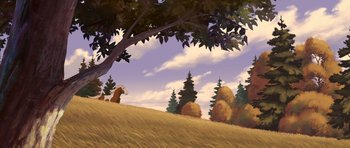 Movie still from “Spirit: Stallion of the Cimarron” (2002), directed by Lorna Cook – An animal sitting on top of a grass covered field; Extreme Wide shot, Low angle