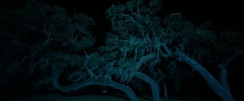 Movie still from “Spring Breakers” (2012), directed by Harmony Korine – A large tree in the middle of the night; Extreme Wide shot, Low angle