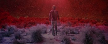 A man in a red shirt is standing in a field of purple flowers