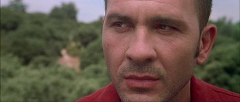 Movie still from “Talk to Her” (2002), directed by Pedro Almodóvar – A man's face with trees in the background; Close Up shot, Low angle