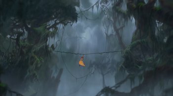 Movie still from “Tarzan” (1999), directed by Kevin Lima – An orange butterfly sitting on top of a tree branch; Extreme Wide shot, High angle