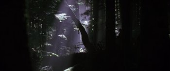 Movie still from “The 13th Warrior” (1999), directed by Michael Crichton – The sun is shining through the trees in the forest; Extreme Wide shot, Low angle