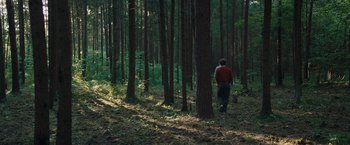 Movie still from “Out Stealing Horses” (2019), directed by Hans Petter Moland – A man standing in the middle of a forest; Extreme Wide shot, High angle