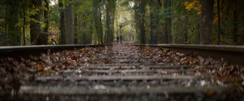 Movie still from “The 5th Wave” (2016), directed by J Blakeson – Two people are walking down the train tracks in the woods; Extreme Wide shot, High angle