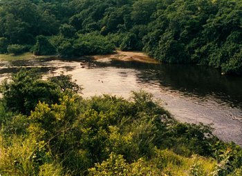 Movie still from “The African Queen” (1951), directed by John Huston – A body of water surrounded by trees and bushes; Extreme Wide shot, High angle