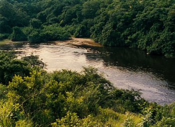 Movie still from “The African Queen” (1951), directed by John Huston – A body of water surrounded by trees and bushes; Extreme Wide shot, High angle