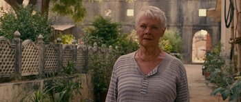 Movie still from “The Best Exotic Marigold Hotel” (2011), directed by John Madden – An older woman standing in front of some bushes; Close Up shot, Low angle