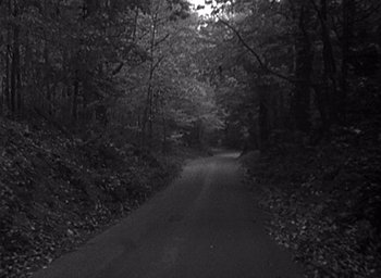 Movie still from “The Blair Witch Project” (1999), directed by Eduardo Sánchez – A black - and - white photo of a road in the woods; Extreme Wide shot, High angle