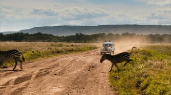 Movie still from “The Bucket List” (2007), directed by Rob Reiner – A zebra running across a dirt road near a truck; Extreme Wide shot, Over the shoulder angle