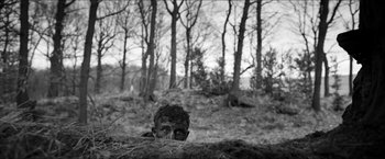 Movie still from “The Captain” (2017), directed by Robert Schwentke – A young man is hiding in the woods; Wide shot, High angle
