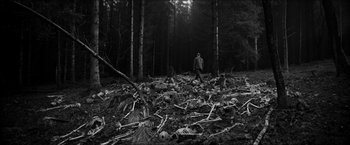 Movie still from “The Captain” (2017), directed by Robert Schwentke – A man walking through a forest filled with dead trees; Extreme Wide shot, High angle