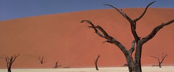 Movie still from “The Cell” (2000), directed by Tarsem Singh – A tree that is standing in the sand; Extreme Wide shot, Low angle