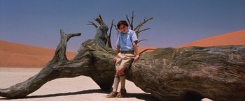 Movie still from “The Cell” (2000), directed by Tarsem Singh – A young man sitting on a tree trunk; Wide shot, Low angle
