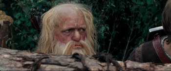 Movie still from “The Chronicles of Narnia: Prince Caspian” (2008), directed by Andrew Adamson – An old man with long white hair and a long beard; Close Up shot, Over the shoulder angle