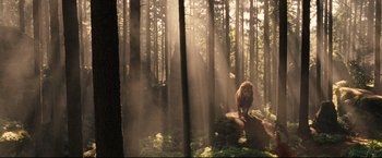 Movie still from “The Chronicles of Narnia: Prince Caspian” (2008), directed by Andrew Adamson – A lion standing in the middle of a forest; Wide shot, Low angle