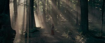 Movie still from “The Chronicles of Narnia: Prince Caspian” (2008), directed by Andrew Adamson – A woman in a red dress standing in the woods; Extreme Wide shot, High angle