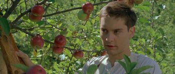 Movie still from “The Cider House Rules” (1999), directed by Lasse Hallström – A man standing next to an apple tree; Close Up shot, Low angle