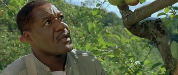 Movie still from “The Cider House Rules” (1999), directed by Lasse Hallström – A man looking up at an apple in a tree; Close Up shot, Low angle