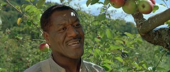 Movie still from “The Cider House Rules” (1999), directed by Lasse Hallström – A person near an apple on a tree; Close Up shot, Low angle