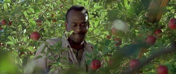 Movie still from “The Cider House Rules” (1999), directed by Lasse Hallström – A man standing in an apple tree with apples; Close Up shot, Low angle
