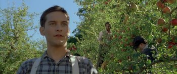 Movie still from “The Cider House Rules” (1999), directed by Lasse Hallström – A man standing next to an apple tree; Close Up shot, Low angle